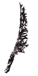 Fulgurite Shard